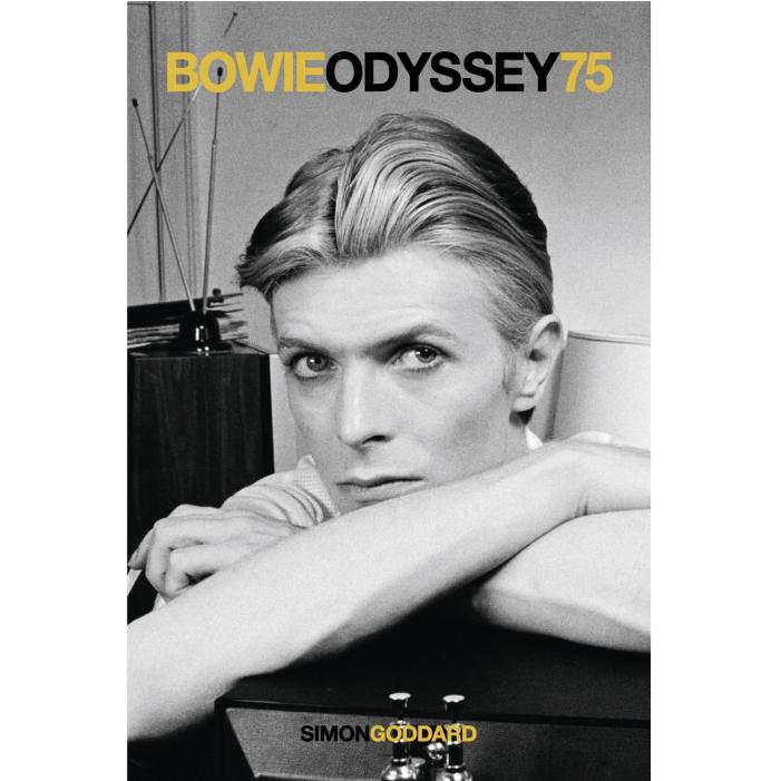 bowieodyssey 2.jpg